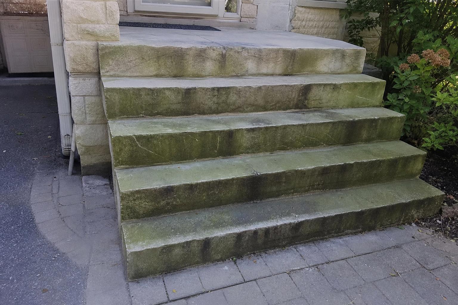 Algae-covered stone steps before cleaning